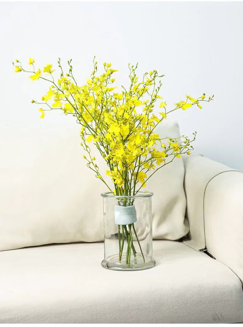 Spiral Stem Holder For Vase Fl - Ikebana Vase Kenzan ulasan dan harga