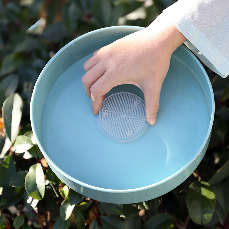 Round Ikebana Kenzan Suction C - Ikebana Vase Kenzan ulasan dan harga