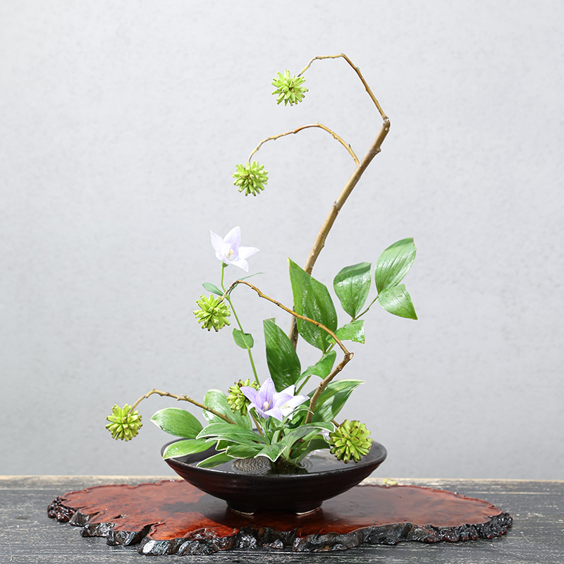 Japanese Frog Vase Ceramic Bou - Ikebana Vase Kenzan ulasan dan harga