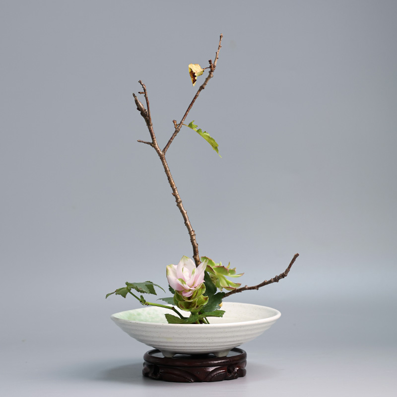 Japanese Frog Vase Ceramic Bou - Ikebana Vase Kenzan ulasan dan harga