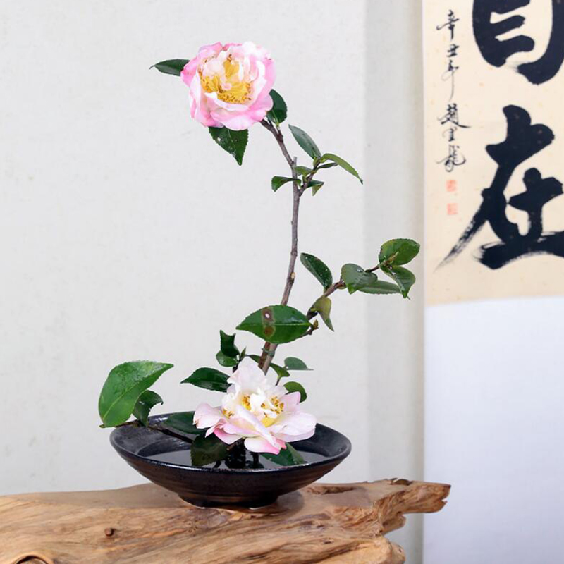 Japanese Frog Vase Ceramic Bou - Ikebana Vase Kenzan ulasan dan harga